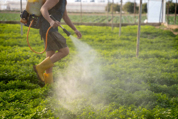 Best Pest Control Cost  in Rodney Village, DE