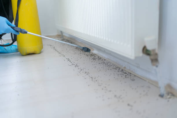 Best Commercial Pest Control Services  in Rodney Village, DE